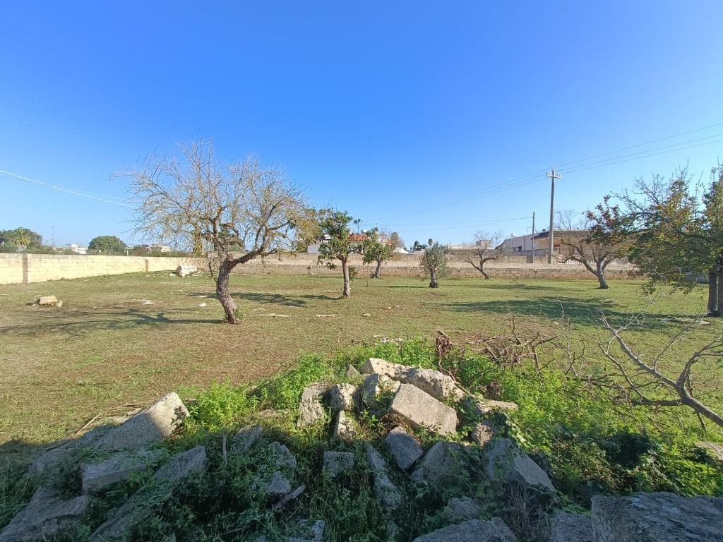 Giano Group Immobiliare